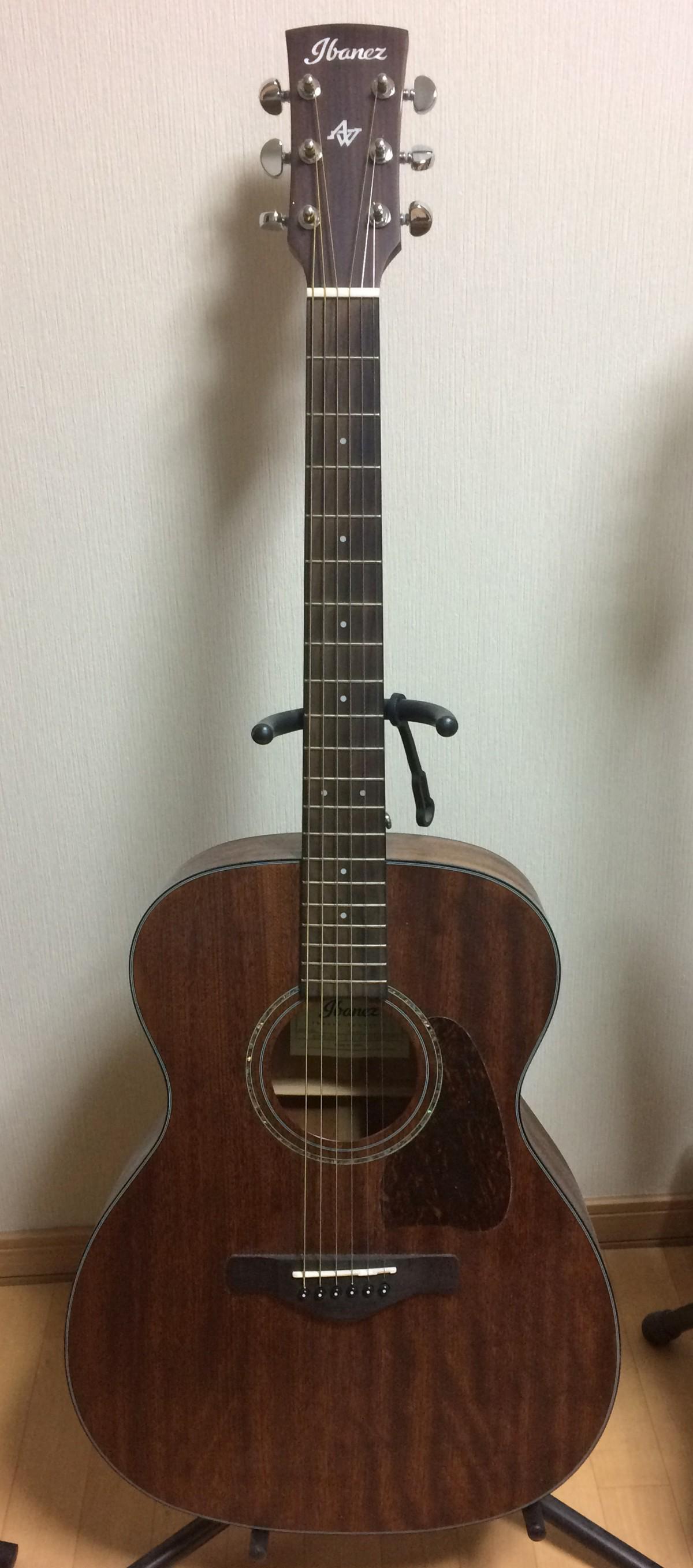 Ibanez (アイバニーズ) / AC240