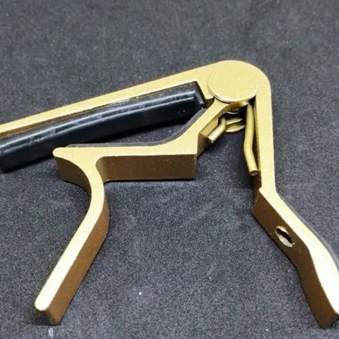 不明 / カポタスト