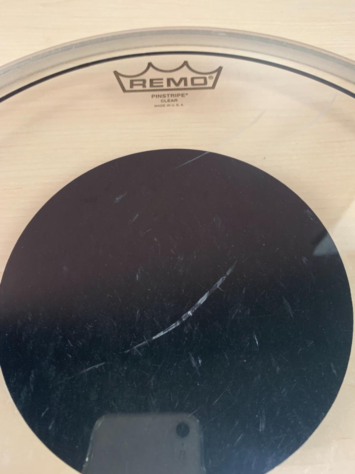 REMO (レモ) / PS-314BE ピンストライプクリア 14インチ S0178