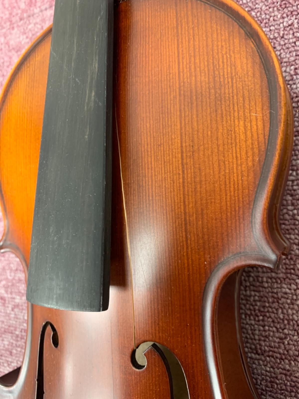 PLAYTECH (プレイテック) / PVN344 バイオリン 4/4 A0551