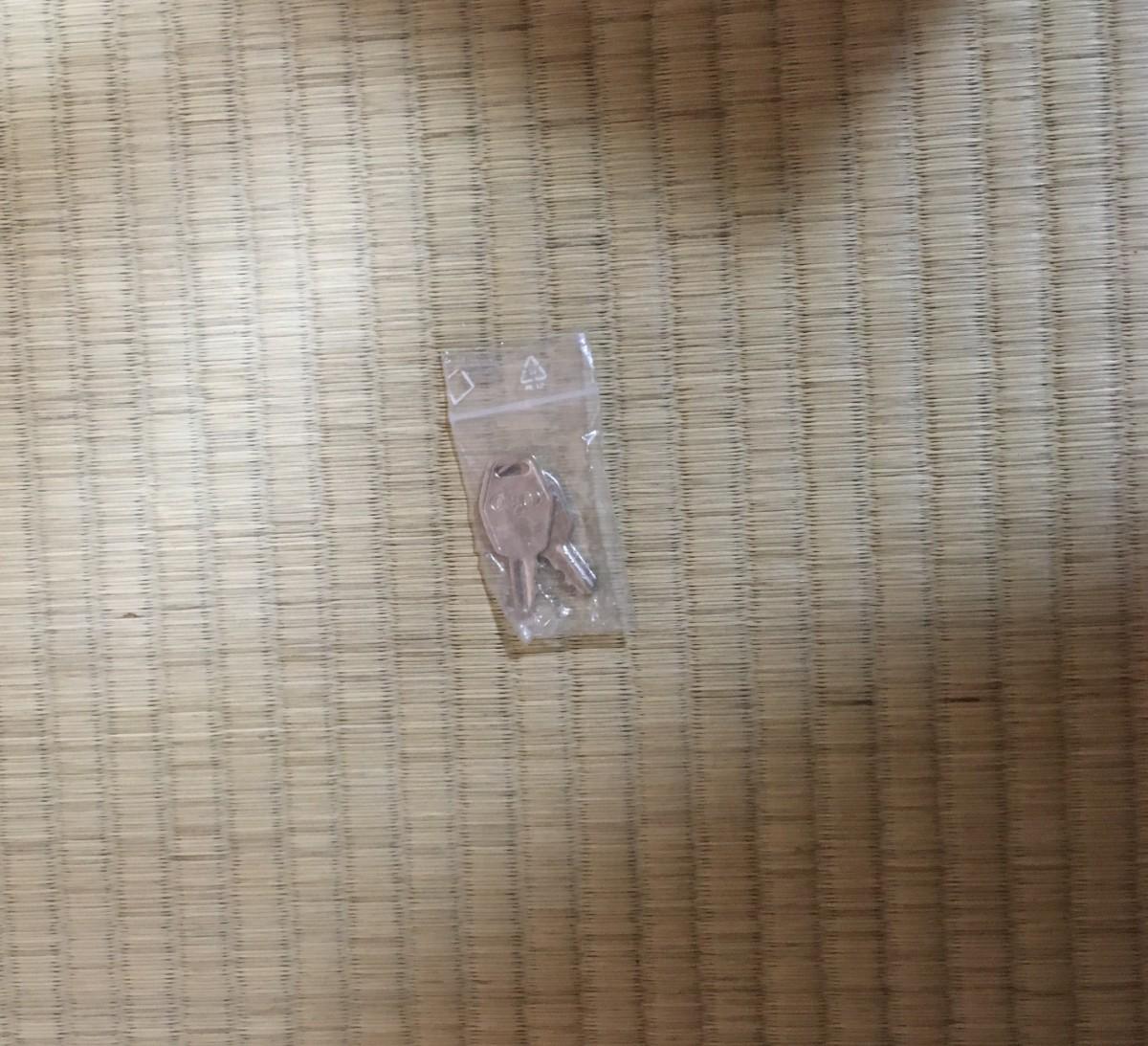 NEUMANN (ノイマン) / Neumann U67 動作確認済 新品で購入したばかり 国内正規品 本物