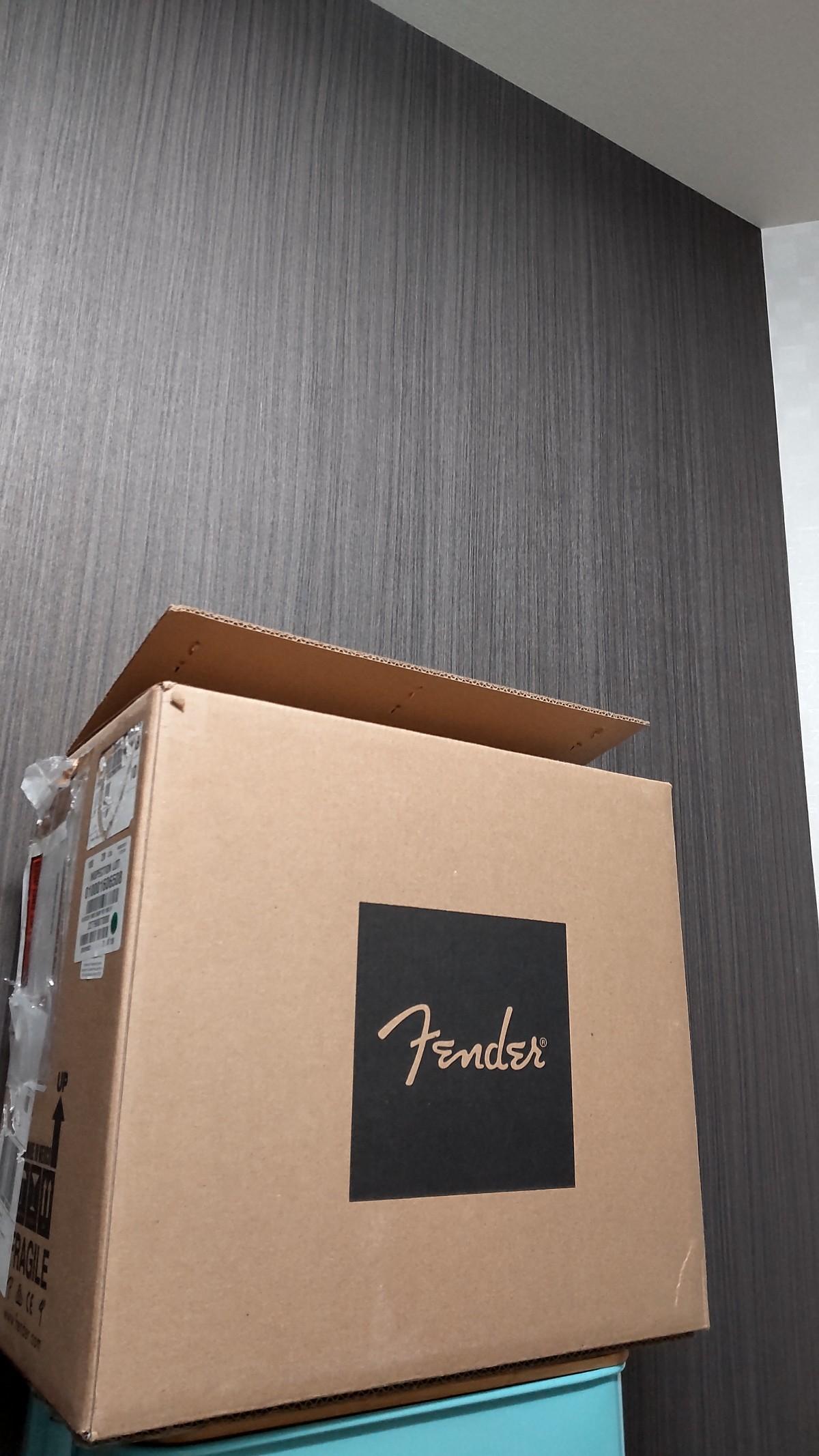 fender / fender 57 custom champ