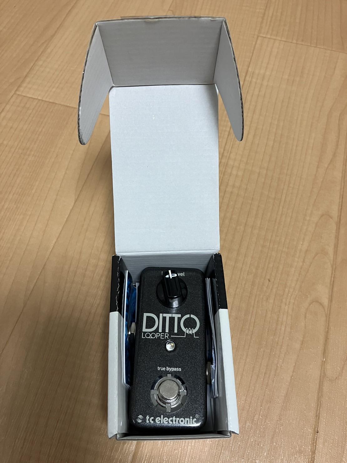 TC ELECTRONIC / Ditto Looper ルーパー