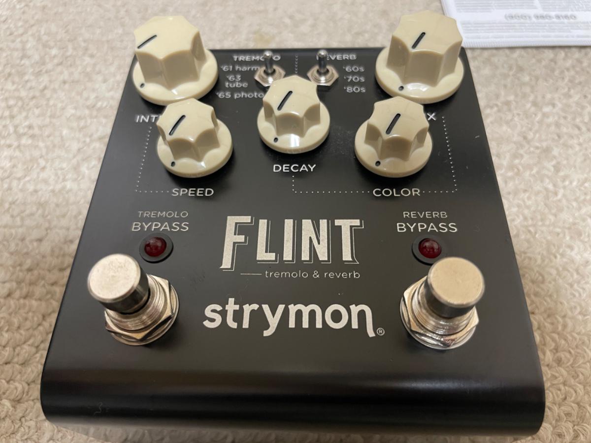 STRYMON (ストライモン) / strymon FLINT
