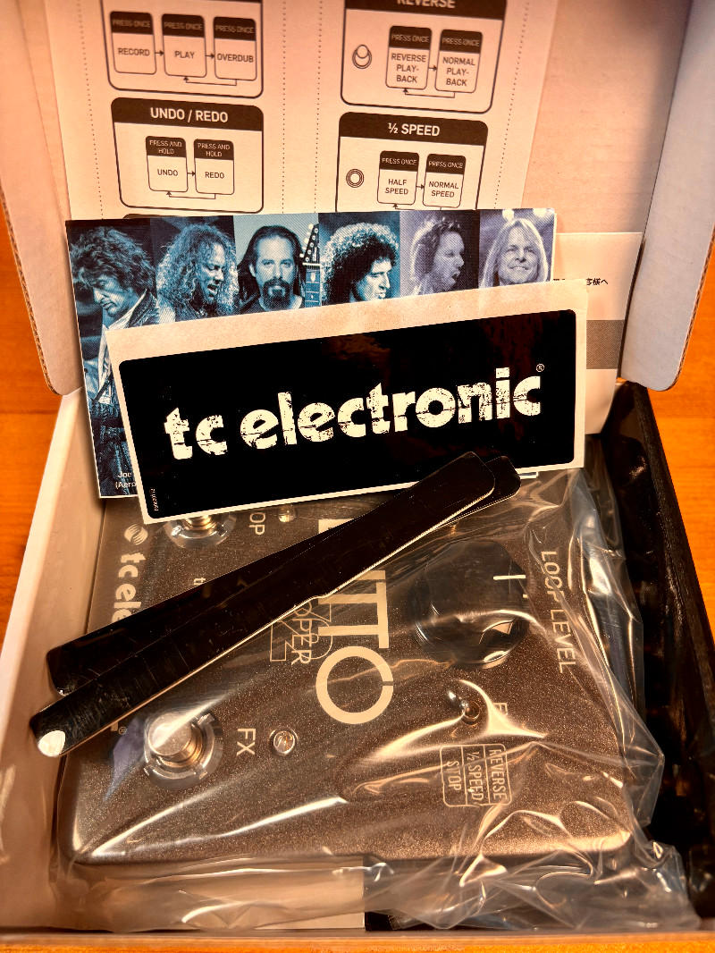 TC ELECTRONIC / Ditto X2 Looper