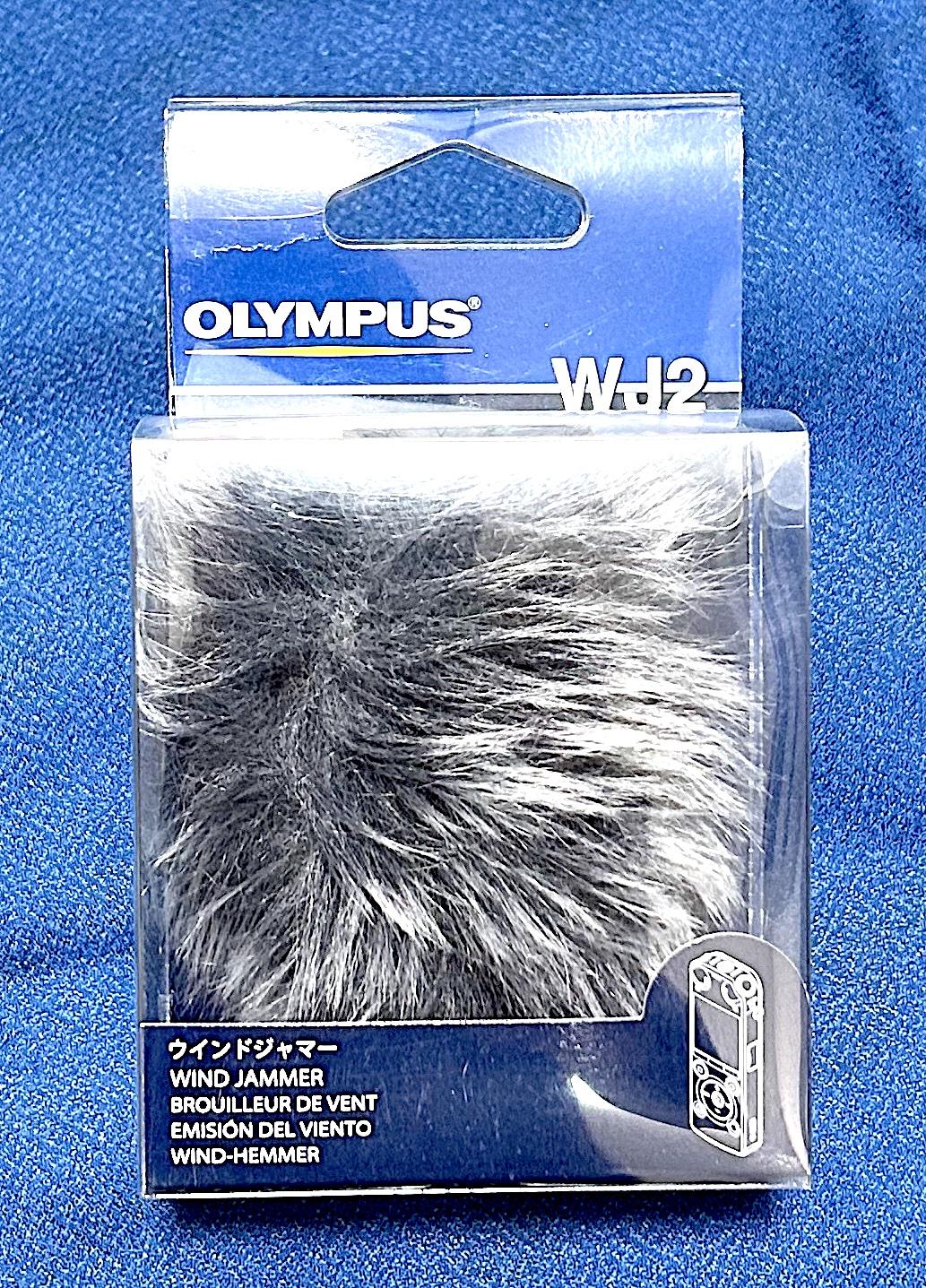 OLYMPUS (オリンパス) / リニアPCMレコーダー/LS-P2