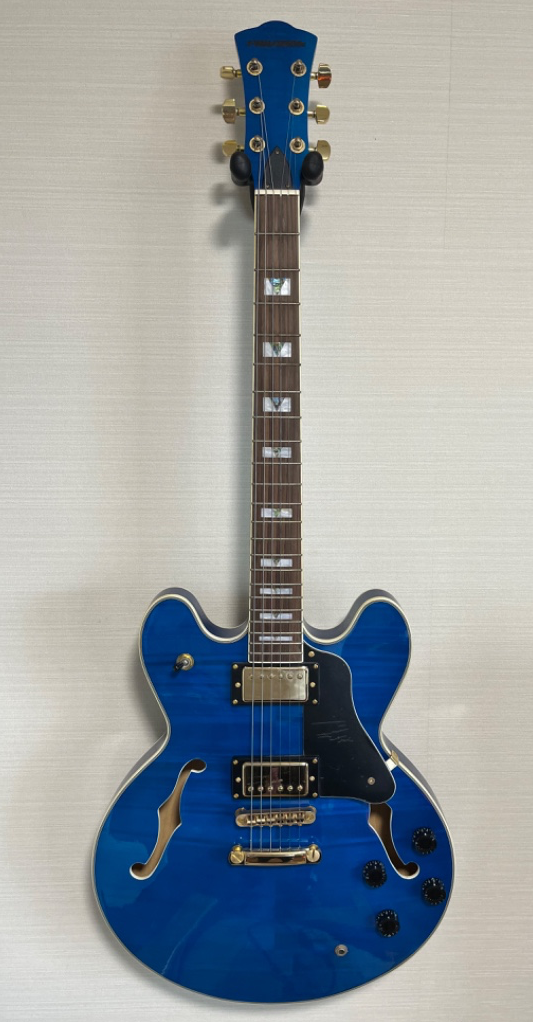 PLAYTECH(プレイテック) / SA500 Flame Transparent Blue