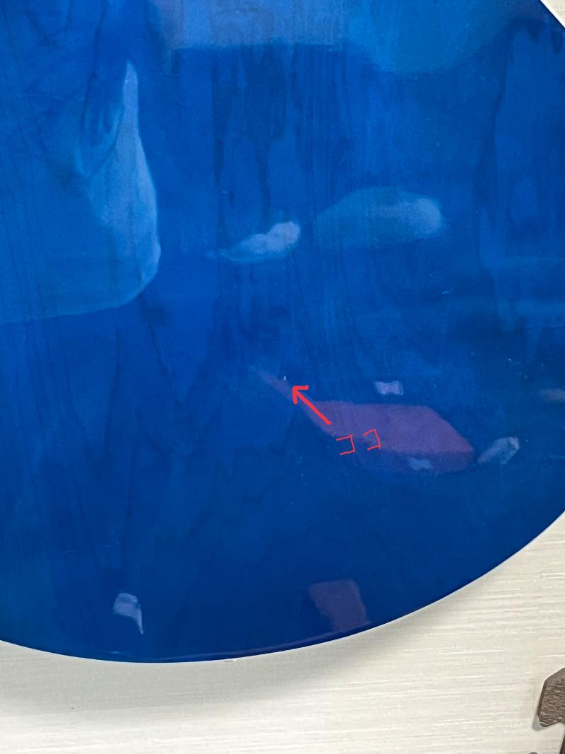 PLAYTECH(プレイテック) / SA500 Flame Transparent Blue