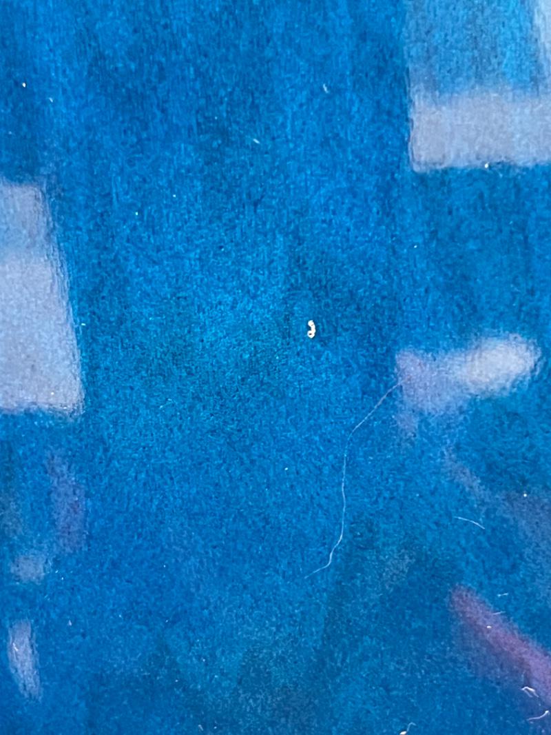 PLAYTECH(プレイテック) / SA500 Flame Transparent Blue