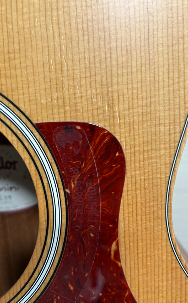 Taylor Guitars (テイラー) / GS Mini Mahogany ミニアコ