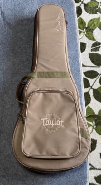 Taylor Guitars (テイラー) / GS Mini Mahogany ミニアコ