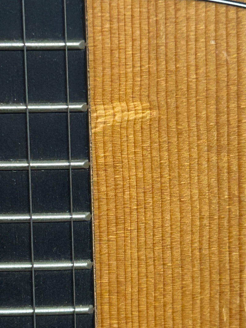 Taylor Guitars (テイラー) / GS Mini Mahogany ミニアコ