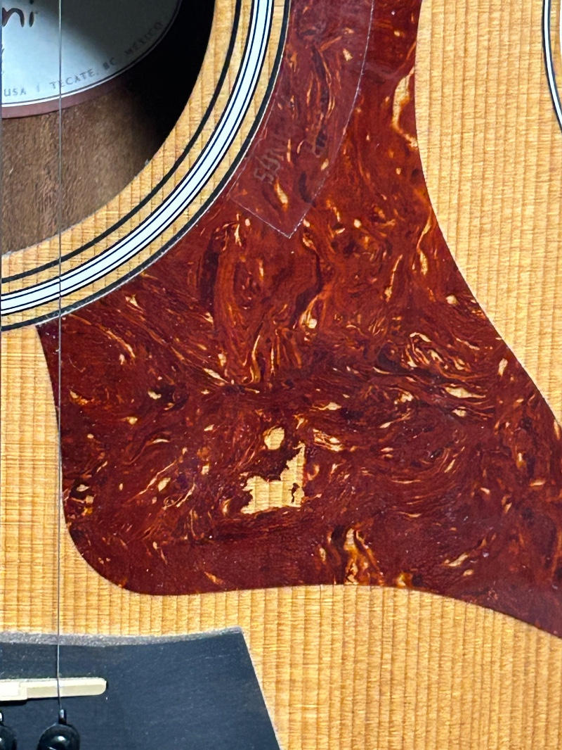 Taylor Guitars (テイラー) / GS Mini Mahogany ミニアコ