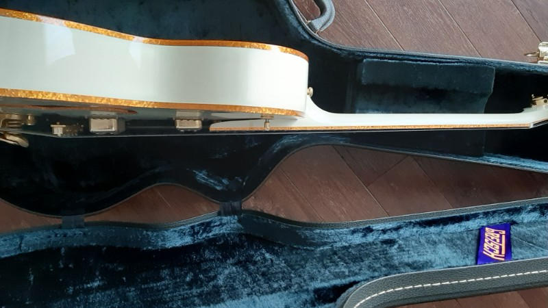 GRETSCH (グレッチ) / グレッチ ホワイトファルコン