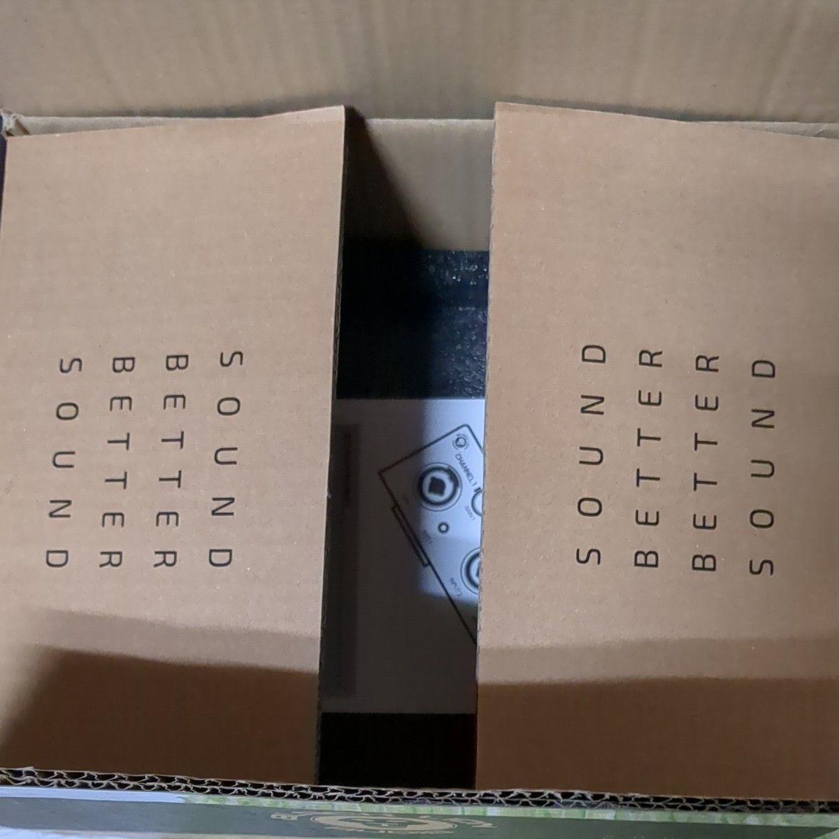 Black Lion Audio(ブラックライオンオーディオ) / Revolution 2x2