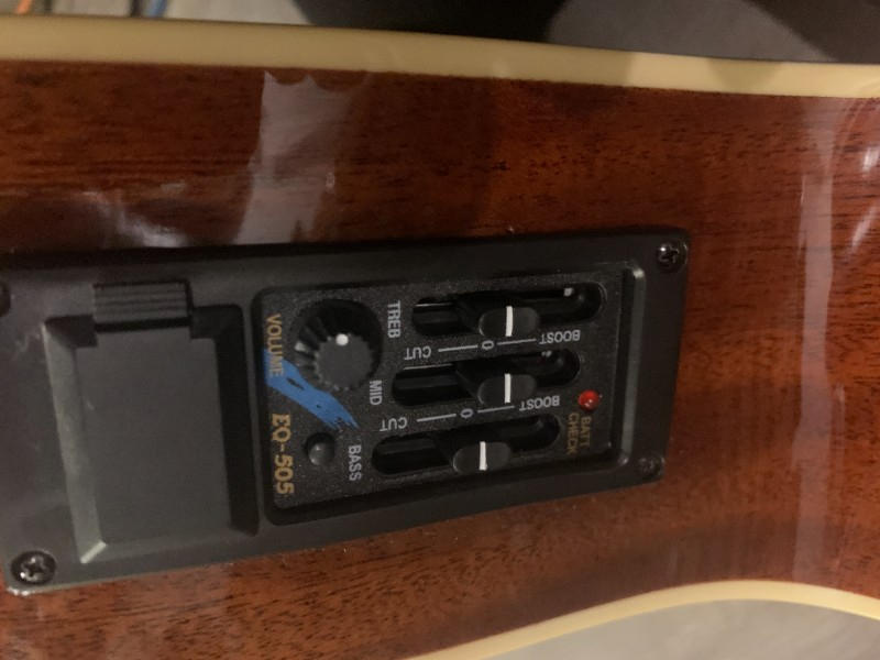 PLAYTECH(プレイテック) / RG10 エレクトリック・リゾネーターギター