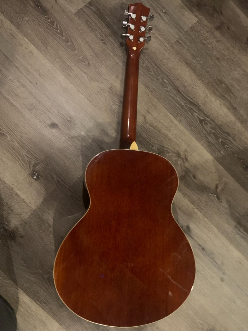 PLAYTECH(プレイテック) / RG10 エレクトリック・リゾネーターギター