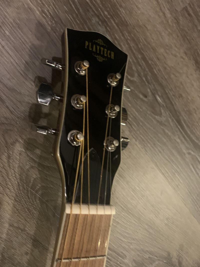 PLAYTECH(プレイテック) / RG10 エレクトリック・リゾネーターギター
