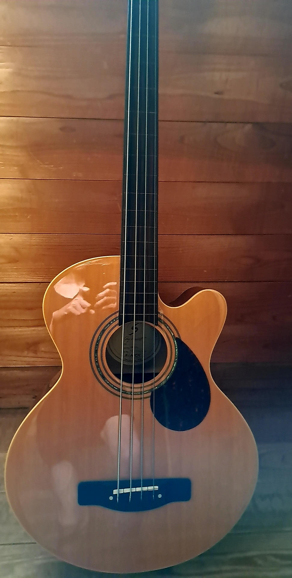 Greg Bennett / グレッグベネットAB2/FLフレットレスエレアコースティックベース