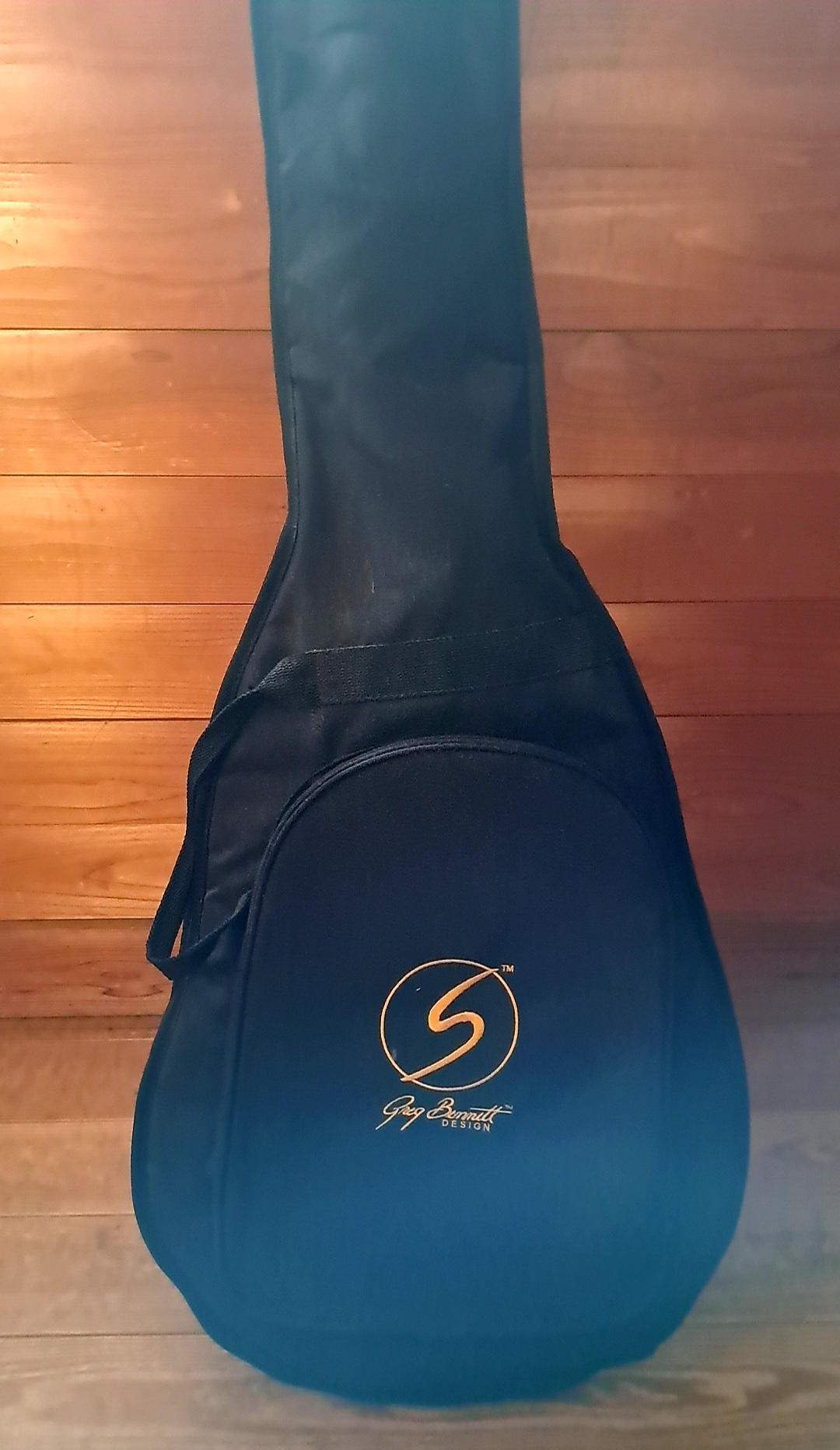 Greg Bennett / グレッグベネットAB2/FLフレットレスエレアコースティックベース