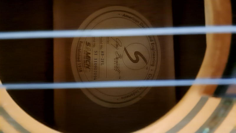 Greg Bennett / グレッグベネットAB2/FLフレットレスエレアコースティックベース