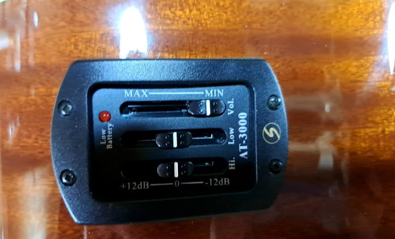 Greg Bennett / グレッグベネットAB2/FLフレットレスエレアコースティックベース