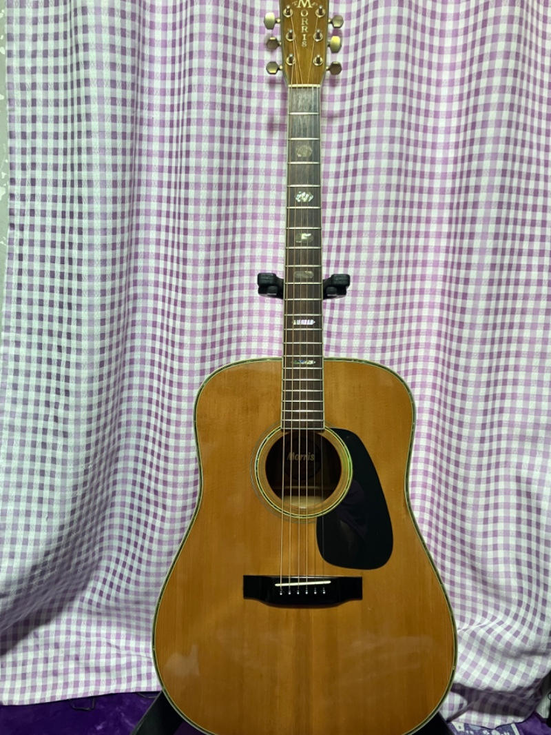 Morris TF-801 ハカランダ 【公式通販】