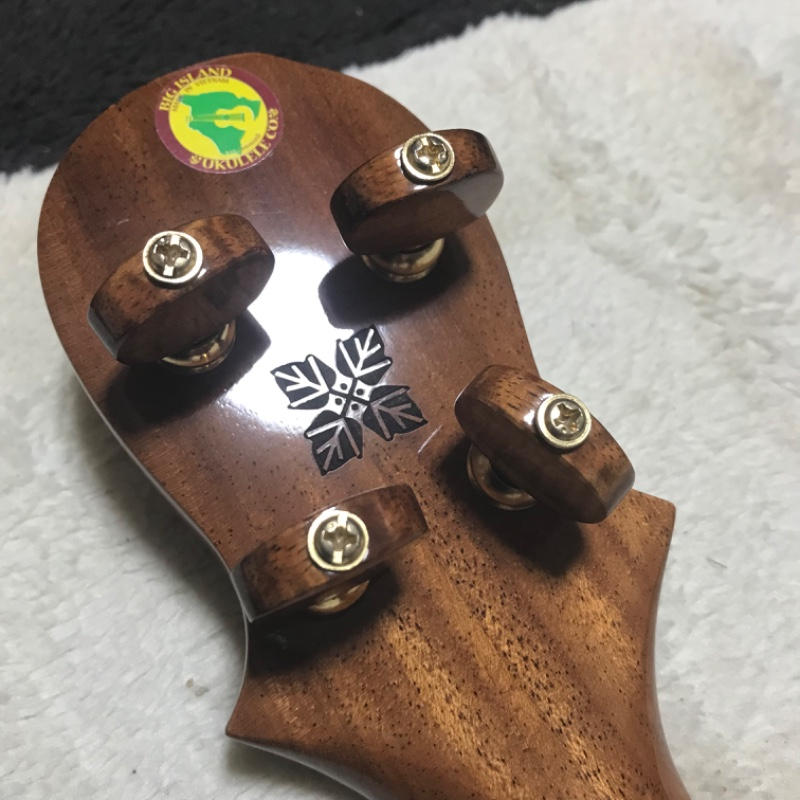 値下げ レア BIG ISLAND ソプラノウクレレ 初期モデル 茶ハード  