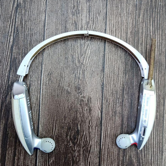 SONY (ソニー) / SONY ワイヤレスイヤホン