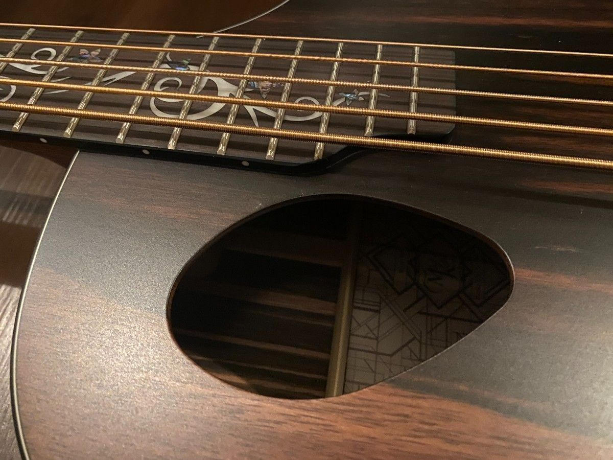 Michael Kelly Guitars (マイケルケリーギターズ) / 【未使用】Act Ele Bass Dragonfly 5 Forte Port Java Ebony