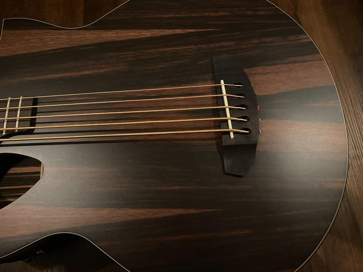 Michael Kelly Guitars (マイケルケリーギターズ) / 【未使用】Act Ele Bass Dragonfly 5 Forte Port Java Ebony
