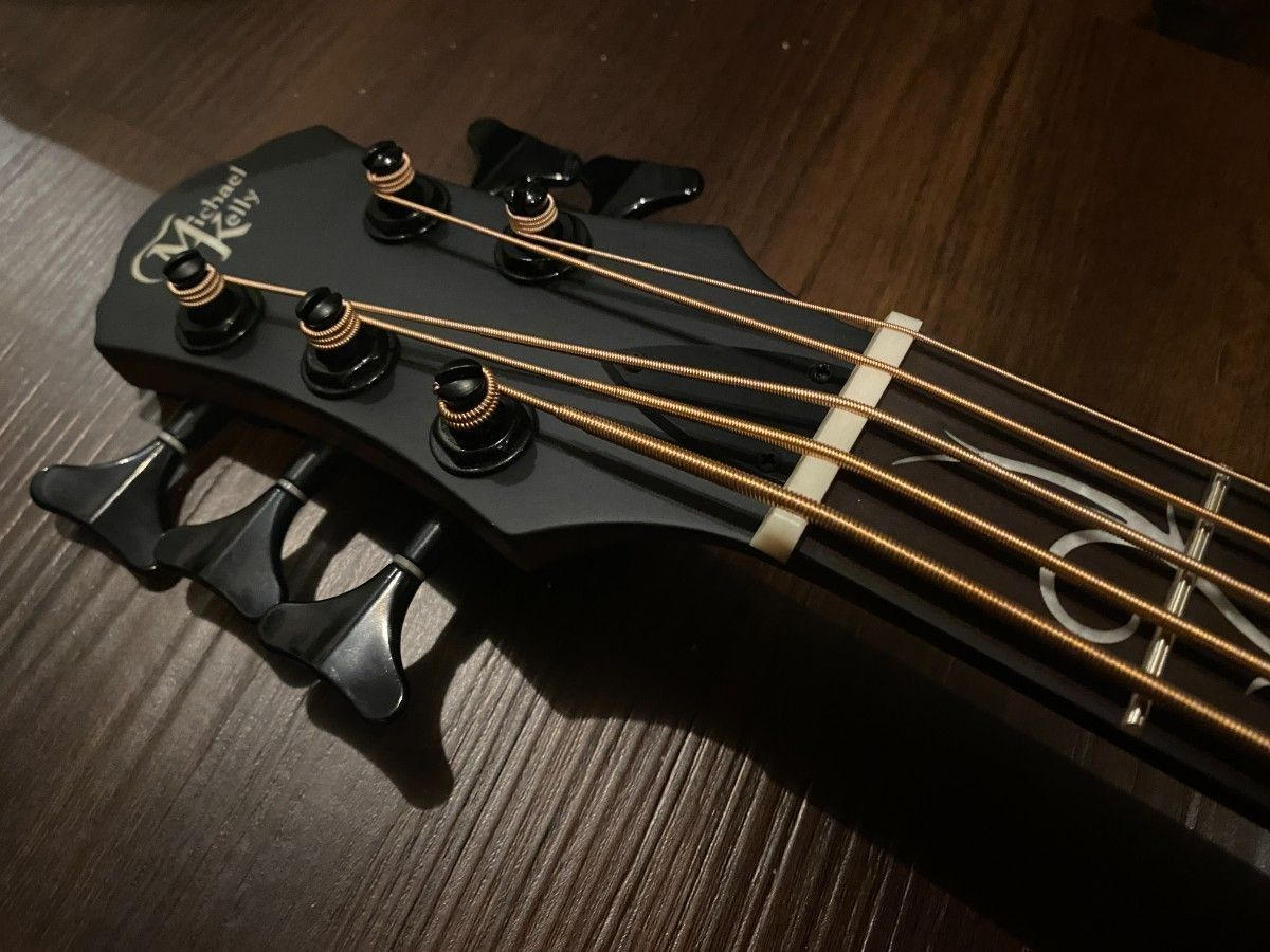 Michael Kelly Guitars (マイケルケリーギターズ) / 【未使用】Act Ele Bass Dragonfly 5 Forte Port Java Ebony