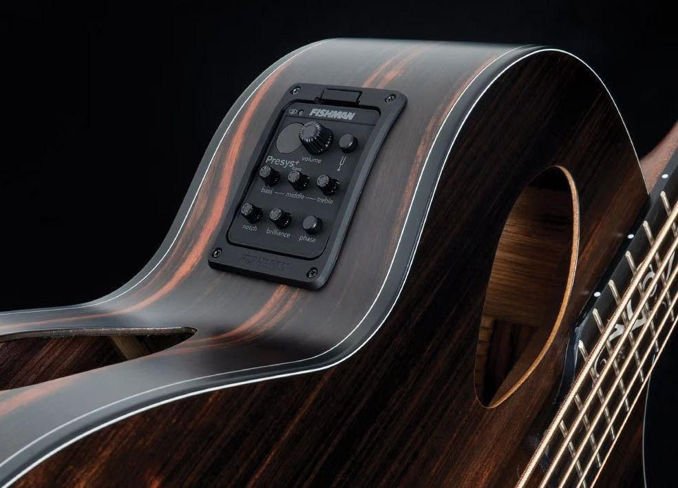 Michael Kelly Guitars (マイケルケリーギターズ) / 【未使用】Act Ele Bass Dragonfly 5 Forte Port Java Ebony