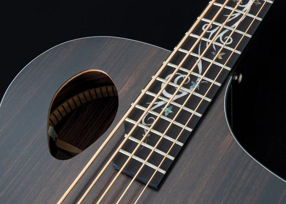 Michael Kelly Guitars (マイケルケリーギターズ) / 【未使用】Act Ele Bass Dragonfly 5 Forte Port Java Ebony