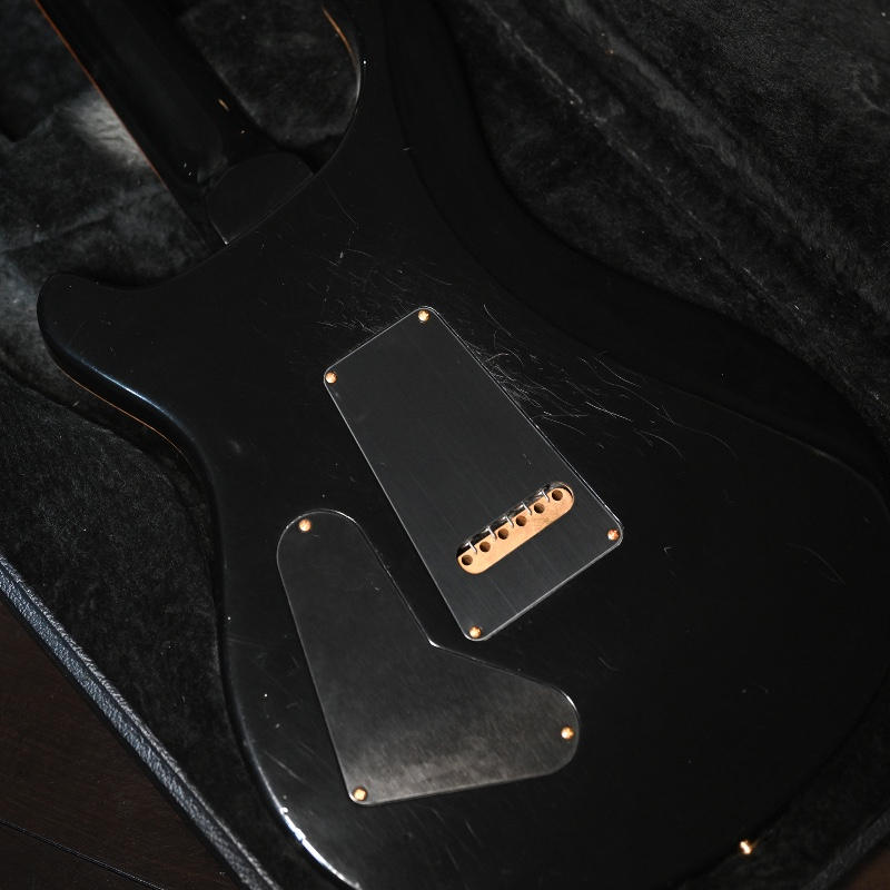 Paul Reed Smith (PRS) (ポールリードスミス) / 初期 PRS Custom 24 1991年製 ハカランダ指板 & ホンジュラスマホ Whale Blue