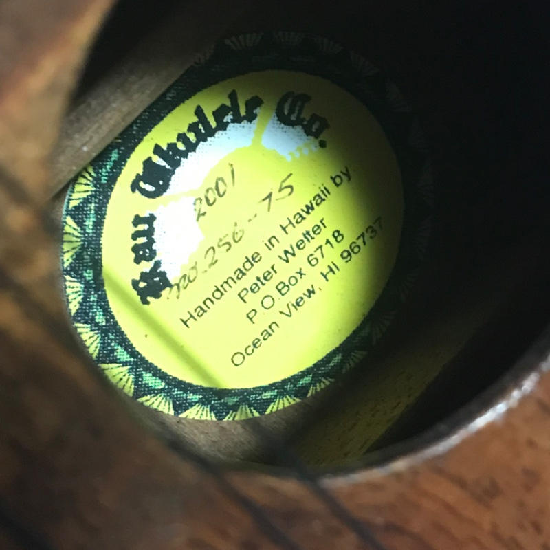 Peter Welter / 超レア ハンドメイド パイナップルテナータロパッチ オールハワイアンコア by Peter Welter Hawaii