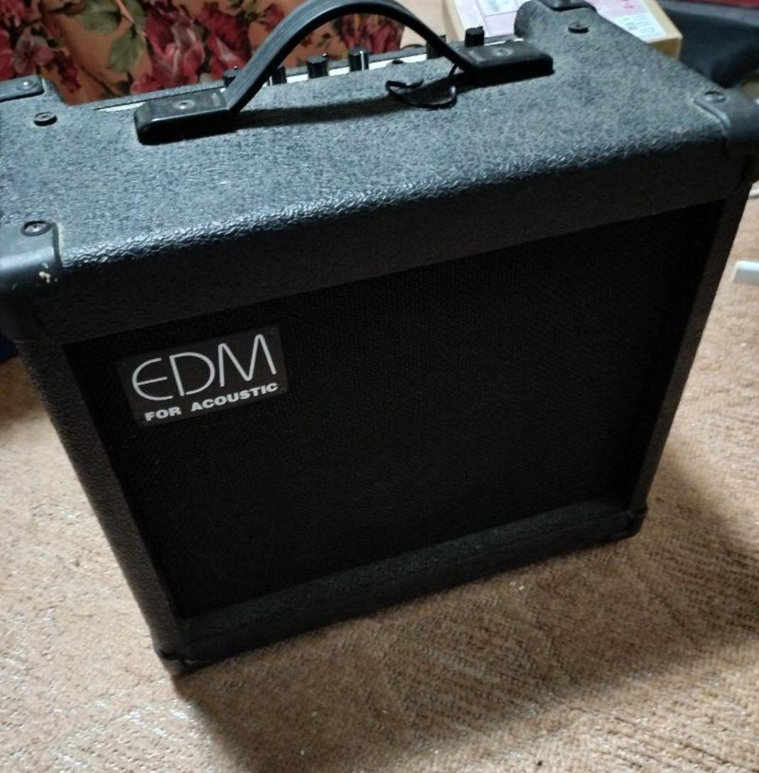 Guyatone / 【激レア】 ギターアンプ 30W センドリターン付き グヤトーン