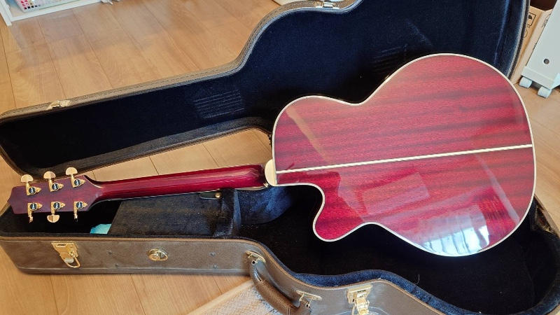 TAKAMINE (タカミネ) / 美品 Takamine DMP551C WR エレアコ ハードケース付