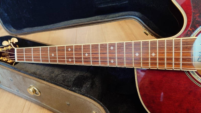 TAKAMINE (タカミネ) / 美品 Takamine DMP551C WR エレアコ ハードケース付