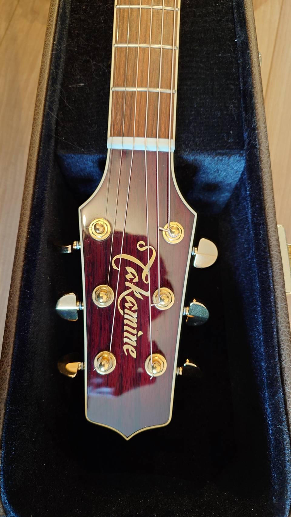 TAKAMINE (タカミネ) / 美品 Takamine DMP551C WR エレアコ ハードケース付