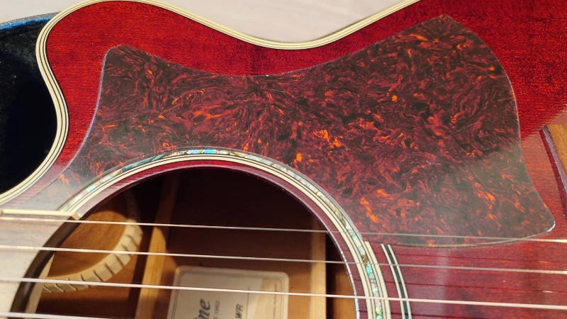 TAKAMINE (タカミネ) / 美品 Takamine DMP551C WR エレアコ ハードケース付