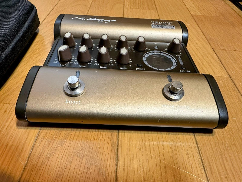 L.R.Baggs (エルアールバックス) / Venue DI