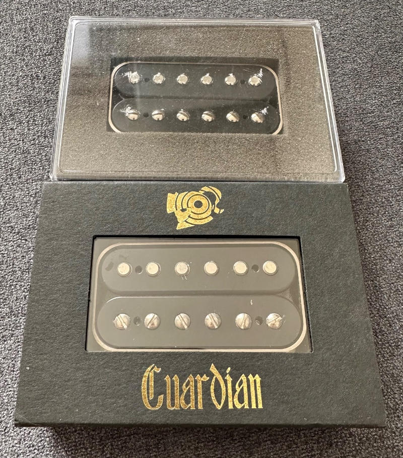 Guardian Pickups / 貴重 A-Luminous G-Space セット