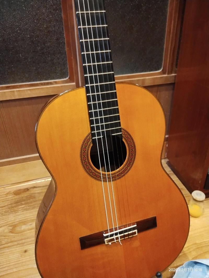 H.V.Diethard / Classic Guitar /model:Artist 650mm