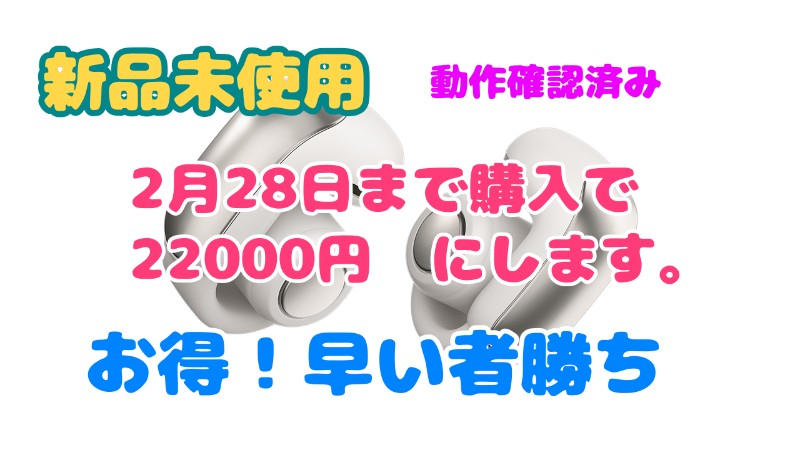 BOSE (ボーズ) / Bose Ultra Open Earbuds