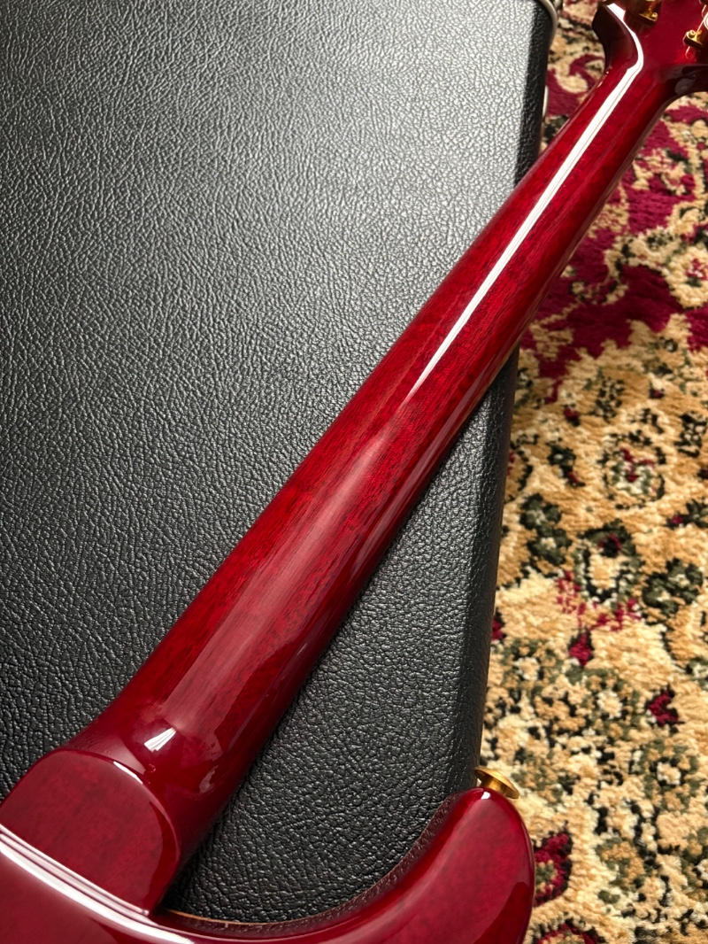 Paul Reed Smith (PRS) (ポールリードスミス) / 【極美品】PRS Custom24 1992年製10top SPオーダー品