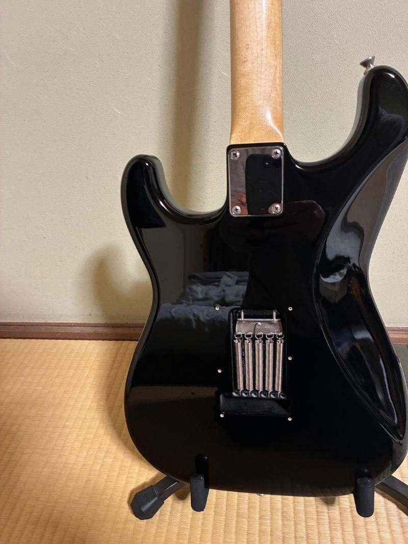 SADOWSKY (サドウスキー) / Metroline R1 Classic