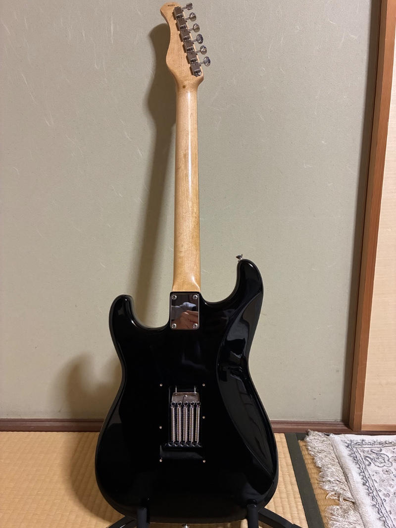 SADOWSKY (サドウスキー) / Metroline R1 Classic