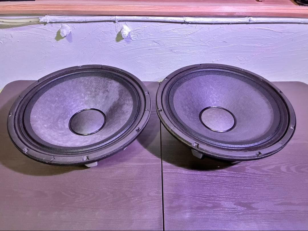 Electro-Voice (エレクトロボイス) / 15インチウーハー DL15BFH ※シリアルペア