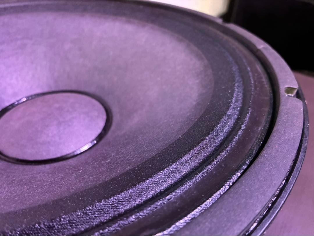 Electro-Voice (エレクトロボイス) / 15インチウーハー DL15BFH ※シリアルペア